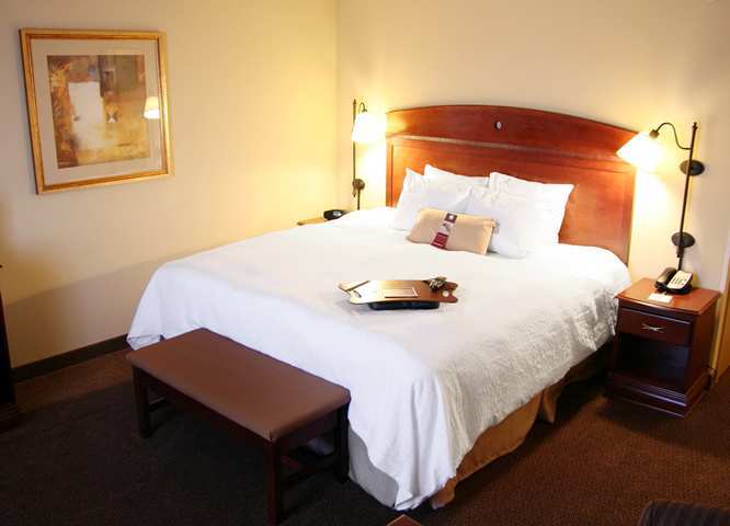 Hampton Inn & Suites Bloomington-Normal Oda fotoğraf
